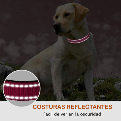 Collar Reflectivo para Perro Color Rojo